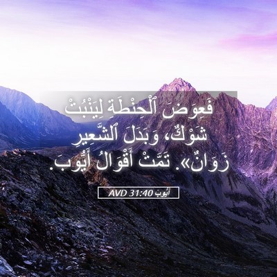 Picture 05 - أَيُّوبَ 31:40 AVD - فَعِوَضَ ٱلْحِنْطَةِ - Bible Verse Picture