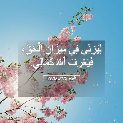 Picture 05 - أَيُّوبَ 31:6 AVD - لِيَزِنِّي فِي مِيزَانِ - Bible Verse Picture