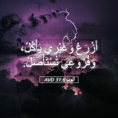 Picture 05 - أَيُّوبَ 31:8 AVD - أَزْرَعْ وَغَيْرِي - Bible Verse Picture