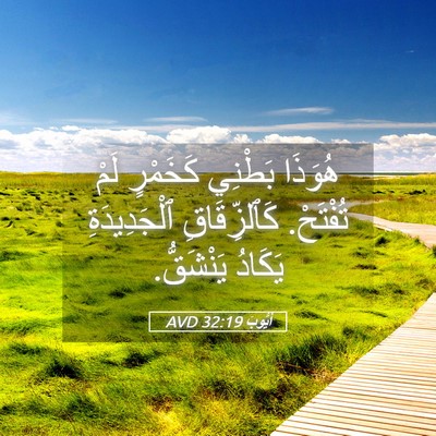 Picture 05 - أَيُّوبَ 32:19 AVD - هُوَذَا بَطْنِي كَخَمْرٍ - Bible Verse Picture