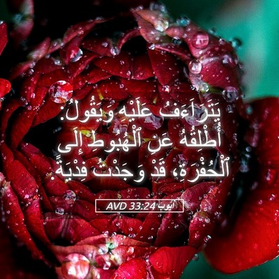 Picture 05 - أَيُّوبَ 33:24 AVD - يَتَرَاَءَفُ عَلَيْهِ - Bible Verse Picture