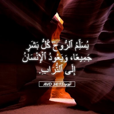 Picture 05 - أَيُّوبَ 34:15 AVD - يُسَلِّمُ ٱلرُّوحَ كُلُّ - Bible Verse Picture