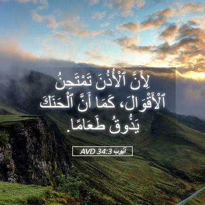 Picture 05 - أَيُّوبَ 34:3 AVD - لِأَنَّ ٱلْأُذُنَ - Bible Verse Picture