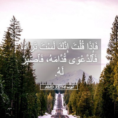 Picture 05 - أَيُّوبَ 35:14 AVD - فَإِذَا قُلْتَ إِنَّكَ - Bible Verse Picture