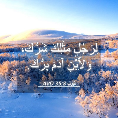 Picture 05 - أَيُّوبَ 35:8 AVD - لِرَجُلٍ مِثْلِكَ - Bible Verse Picture