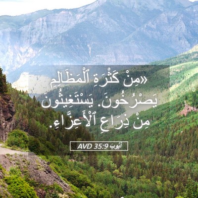 Picture 05 - أَيُّوبَ 35:9 AVD - «مِنْ كَثْرَةِ - Bible Verse Picture