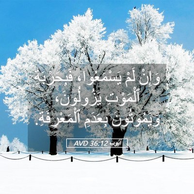 Picture 05 - أَيُّوبَ 36:12 AVD - وَإِنْ لَمْ يَسْمَعُوا، - Bible Verse Picture