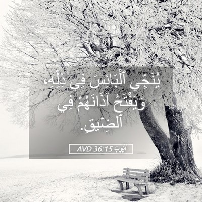Picture 05 - أَيُّوبَ 36:15 AVD - يُنَجِّي ٱلْبَائِسَ فِي - Bible Verse Picture