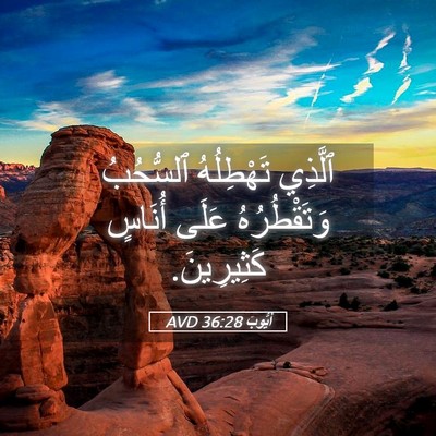 Picture 05 - أَيُّوبَ 36:28 AVD - ٱلَّذِي تَهْطِلُهُ - Bible Verse Picture