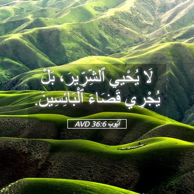 Picture 05 - أَيُّوبَ 36:6 AVD - لَا يُحْيي ٱلشِّرِّيرَ، - Bible Verse Picture