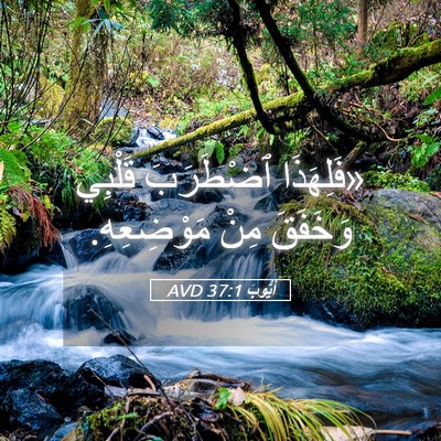 Picture 05 - أَيُّوبَ 37:1 AVD - «فَلِهَذَا ٱضْطَرَبَ - Bible Verse Picture
