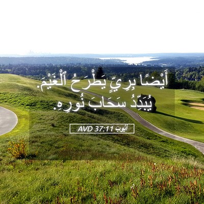 Picture 05 - أَيُّوبَ 37:11 AVD - أَيْضًا بِرِيٍّ يَطْرَحُ - Bible Verse Picture