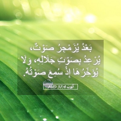 Picture 05 - أَيُّوبَ 37:4 AVD - بَعْدُ يُزَمْجِرُ صَوْتٌ، - Bible Verse Picture