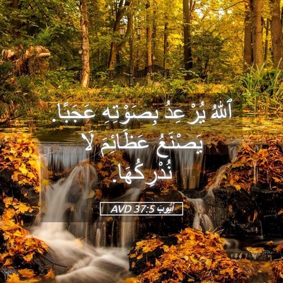 Picture 05 - أَيُّوبَ 37:5 AVD - ٱللهُ يُرْعِدُ بِصَوْتِهِ - Bible Verse Picture
