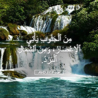 Picture 05 - أَيُّوبَ 37:9 AVD - مِنَ ٱلْجَنُوبِ يَأْتِي - Bible Verse Picture