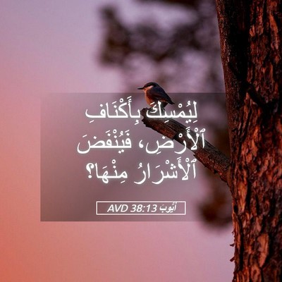Picture 05 - أَيُّوبَ 38:13 AVD - لِيُمْسِكَ بِأَكْنَافِ - Bible Verse Picture