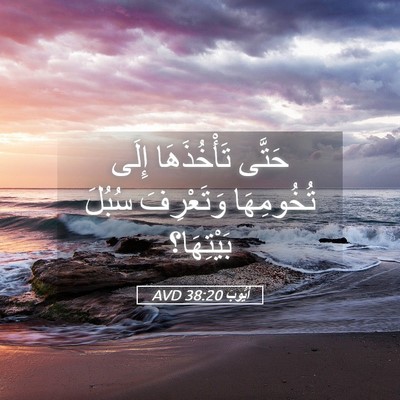 Picture 05 - أَيُّوبَ 38:20 AVD - حَتَّى تَأْخُذَهَا إِلَى - Bible Verse Picture