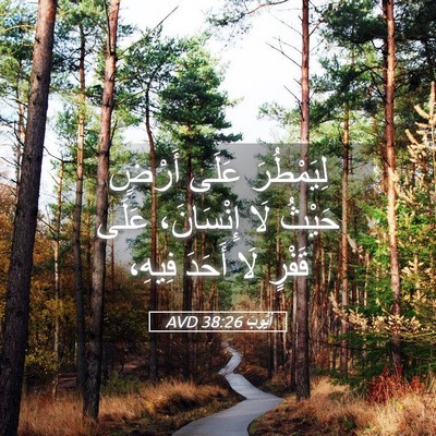 Picture 05 - أَيُّوبَ 38:26 AVD - لِيَمْطُرَ عَلَى أَرْضٍ - Bible Verse Picture