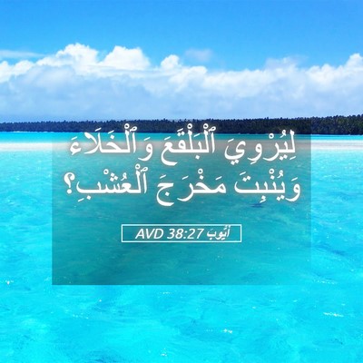 Picture 05 - أَيُّوبَ 38:27 AVD - لِيُرْوِيَ ٱلْبَلْقَعَ - Bible Verse Picture