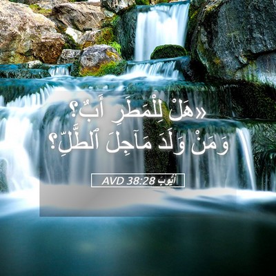 Picture 05 - أَيُّوبَ 38:28 AVD - «هَلْ لِلْمَطَرِ أَبٌ؟ - Bible Verse Picture