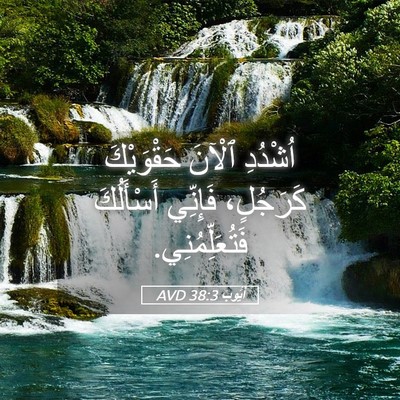 Picture 05 - أَيُّوبَ 38:3 AVD - اُشْدُدِ ٱلْآنَ - Bible Verse Picture