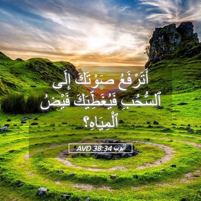 Picture 05 - أَيُّوبَ 38:34 AVD - أَتَرْفَعُ صَوْتَكَ إِلَى - Bible Verse Picture