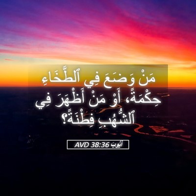 Picture 05 - أَيُّوبَ 38:36 AVD - مَنْ وَضَعَ فِي ٱلطَّخَاءِ - Bible Verse Picture