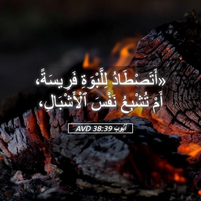 Picture 05 - أَيُّوبَ 38:39 AVD - «أَتَصْطَادُ لِلَّبْوَةِ - Bible Verse Picture