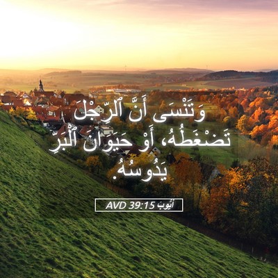 Picture 05 - أَيُّوبَ 39:15 AVD - وَتَنْسَى أَنَّ ٱلرِّجْلَ - Bible Verse Picture