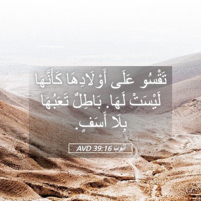 Picture 05 - أَيُّوبَ 39:16 AVD - تَقْسُو عَلَى - Bible Verse Picture