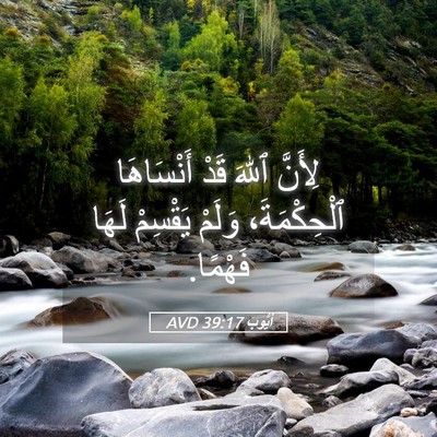 Picture 05 - أَيُّوبَ 39:17 AVD - لِأَنَّ ٱللهَ قَدْ - Bible Verse Picture