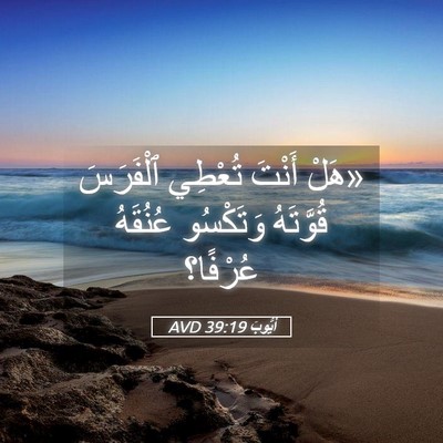 Picture 05 - أَيُّوبَ 39:19 AVD - «هَلْ أَنْتَ تُعْطِي - Bible Verse Picture