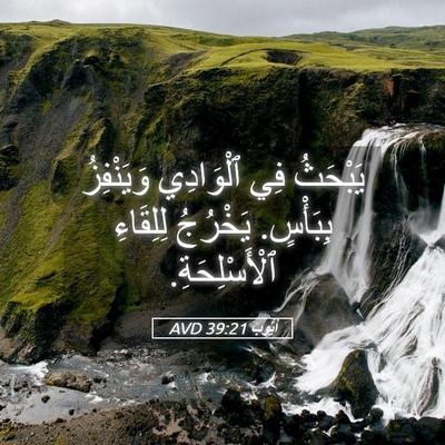 Picture 05 - أَيُّوبَ 39:21 AVD - يَبْحَثُ فِي ٱلْوَادِي - Bible Verse Picture