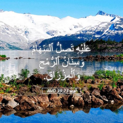 Picture 05 - أَيُّوبَ 39:23 AVD - عَلَيْهِ تَصِلُّ - Bible Verse Picture