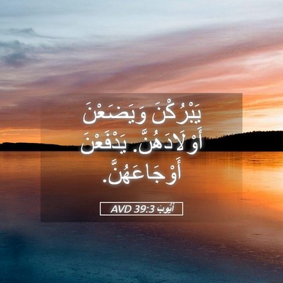 Picture 05 - أَيُّوبَ 39:3 AVD - يَبْرُكْنَ وَيَضَعْنَ - Bible Verse Picture