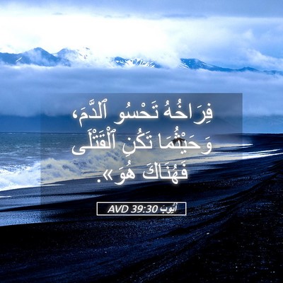 Picture 05 - أَيُّوبَ 39:30 AVD - فِرَاخُهُ تَحْسُو - Bible Verse Picture