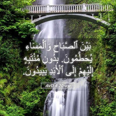 Picture 05 - أَيُّوبَ 4:20 AVD - بَيْنَ ٱلصَّبَاحِ - Bible Verse Picture