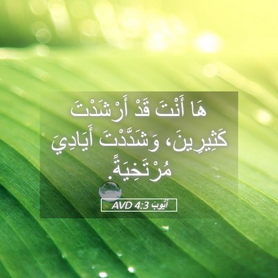 Picture 05 - أَيُّوبَ 4:3 AVD - هَا أَنْتَ قَدْ أَرْشَدْتَ - Bible Verse Picture