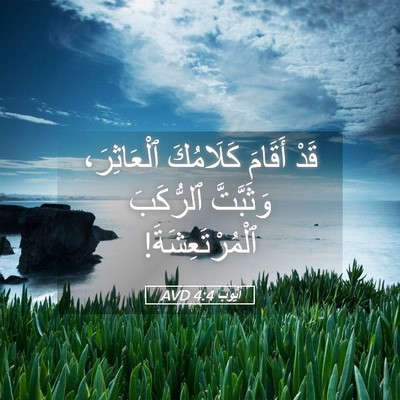 Picture 05 - أَيُّوبَ 4:4 AVD - قَدْ أَقَامَ كَلَامُكَ - Bible Verse Picture