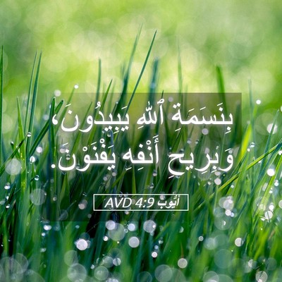 Picture 05 - أَيُّوبَ 4:9 AVD - بِنَسَمَةِ ٱللهِ - Bible Verse Picture