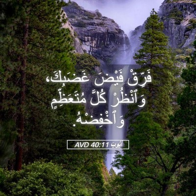 Picture 05 - أَيُّوبَ 40:11 AVD - فَرِّقْ فَيْضَ غَضَبِكَ، - Bible Verse Picture