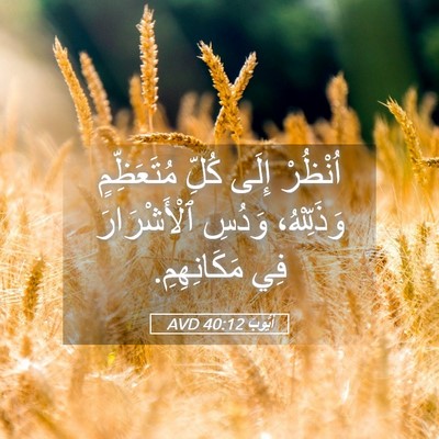 Picture 05 - أَيُّوبَ 40:12 AVD - اُنْظُرْ إِلَى كُلِّ - Bible Verse Picture