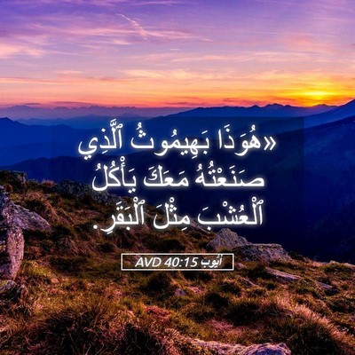 Picture 05 - أَيُّوبَ 40:15 AVD - «هُوَذَا بَهِيمُوثُ - Bible Verse Picture