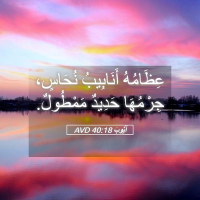 Picture 05 - أَيُّوبَ 40:18 AVD - عِظَامُهُ أَنَابِيبُ - Bible Verse Picture