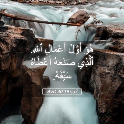 Picture 05 - أَيُّوبَ 40:19 AVD - هُوَ أَوَّلُ أَعْمَالِ - Bible Verse Picture