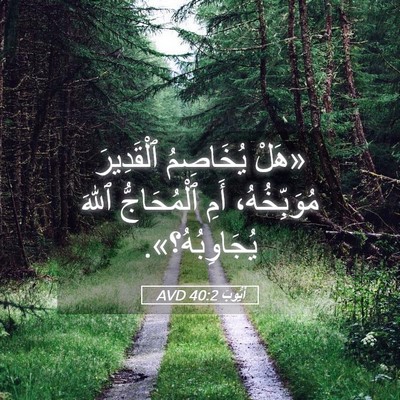 Picture 05 - أَيُّوبَ 40:2 AVD - «هَلْ يُخَاصِمُ - Bible Verse Picture