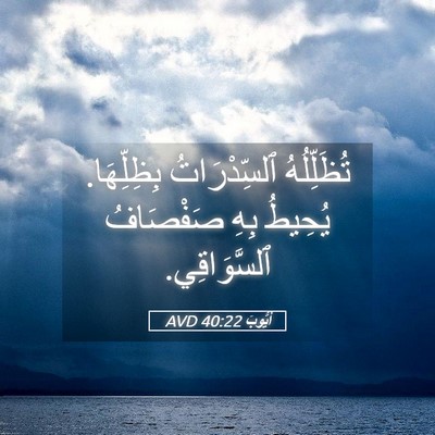 Picture 05 - أَيُّوبَ 40:22 AVD - تُظَلِّلُهُ ٱلسِّدْرَاتُ - Bible Verse Picture