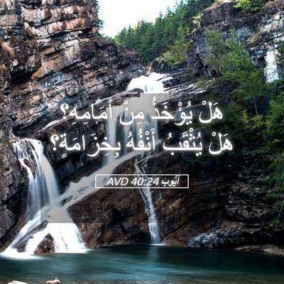 Picture 05 - أَيُّوبَ 40:24 AVD - هَلْ يُؤْخَذُ مِنْ - Bible Verse Picture