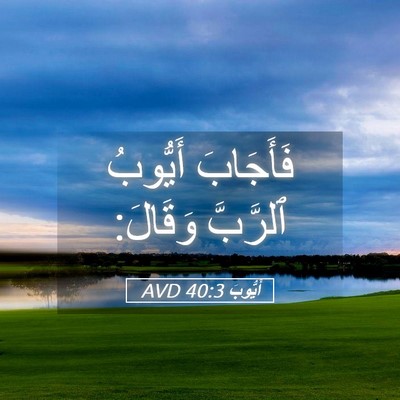 Picture 05 - أَيُّوبَ 40:3 AVD - فَأَجَابَ أَيُّوبُ - Bible Verse Picture