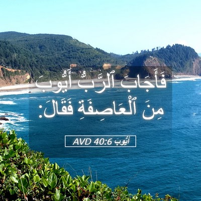 Picture 05 - أَيُّوبَ 40:6 AVD - فَأَجَابَ ٱلرَّبُّ - Bible Verse Picture